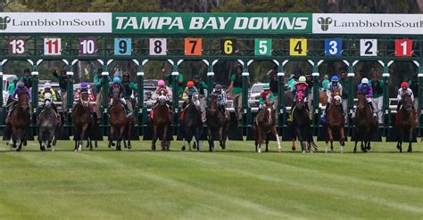 tampa bay downs bookies|Suncoast Stakes Predictions, Odds, Picks (Tampa Bay Downs).